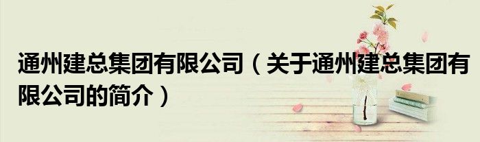 通州建總集團有限公司（關于通州建總集團有限公司的簡介）