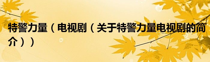 特警力量（電視?。P(guān)于特警力量電視劇的簡介））