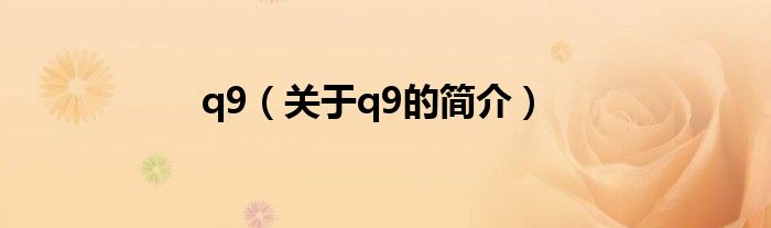 q9（關于q9的簡介）