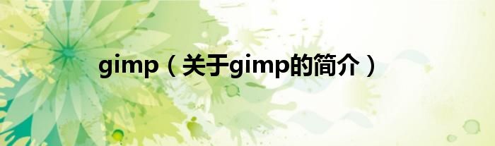 gimp（關于gimp的簡介）