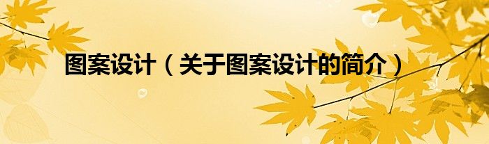 圖案設(shè)計(jì)（關(guān)于圖案設(shè)計(jì)的簡介）