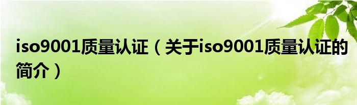 iso9001質(zhì)量認(rèn)證（關(guān)于iso9001質(zhì)量認(rèn)證的簡介）