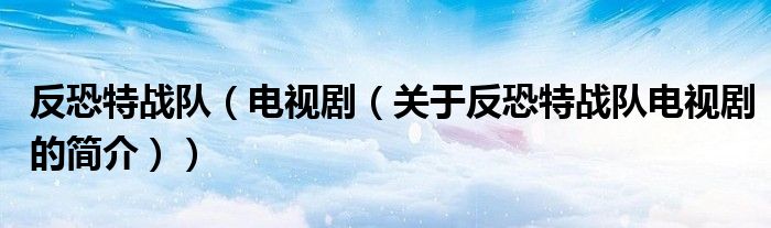 反恐特戰隊（電視劇（關于反恐特戰隊電視劇的簡介））