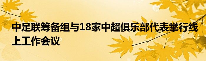 中足聯籌備組與18家中超俱樂部代表舉行線上工作會議