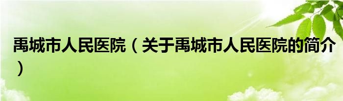禹城市人民醫院（關于禹城市人民醫院的簡介）