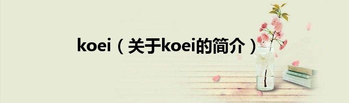 koei（關于koei的簡介）