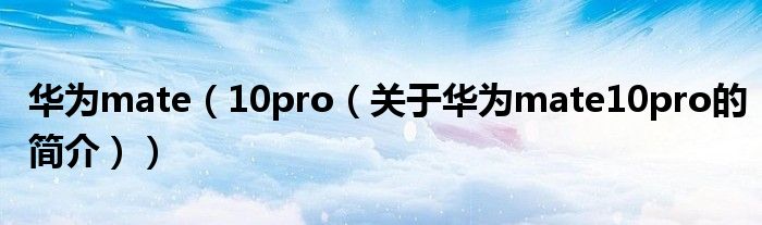 華為mate（10pro（關于華為mate10pro的簡介））