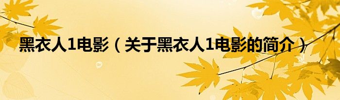 黑衣人1電影（關于黑衣人1電影的簡介）