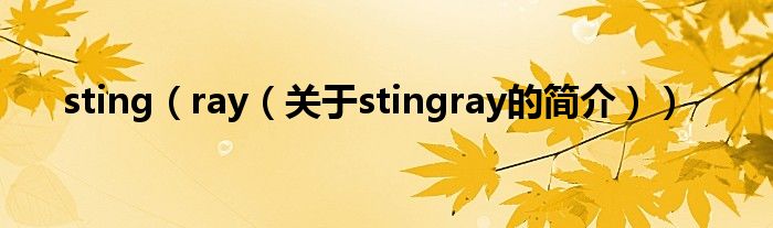 sting（ray（關于stingray的簡介））