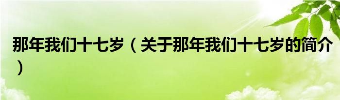 那年我們十七歲（關(guān)于那年我們十七歲的簡介）