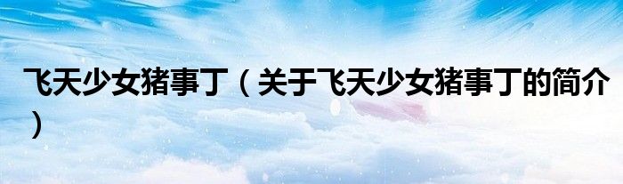 飛天少女豬事丁（關于飛天少女豬事丁的簡介）