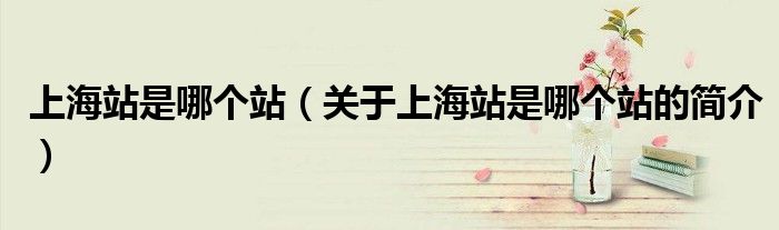 上海站是哪個站（關于上海站是哪個站的簡介）