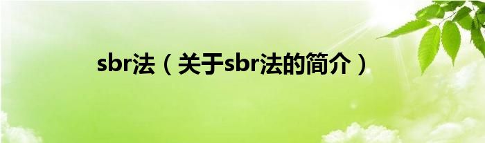 sbr法（關于sbr法的簡介）