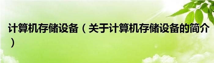 計算機存儲設備（關于計算機存儲設備的簡介）