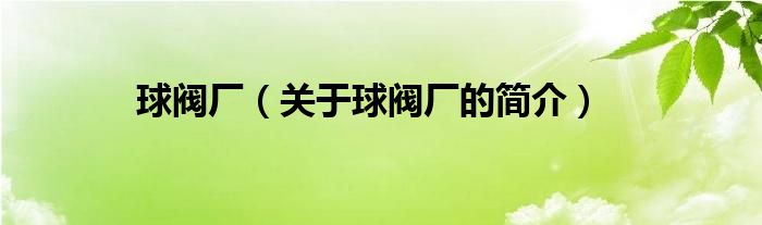 球閥廠（關于球閥廠的簡介）