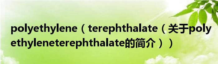 polyethylene（terephthalate（關于polyethyleneterephthalate的簡介））