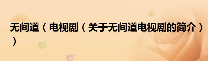 無間道（電視劇（關于無間道電視劇的簡介））