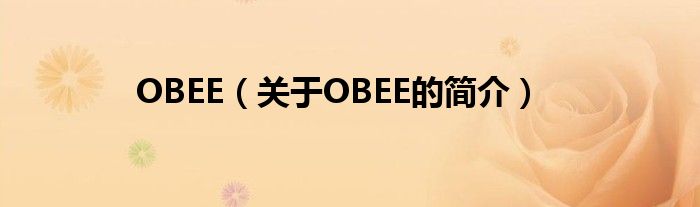 OBEE（關于OBEE的簡介）