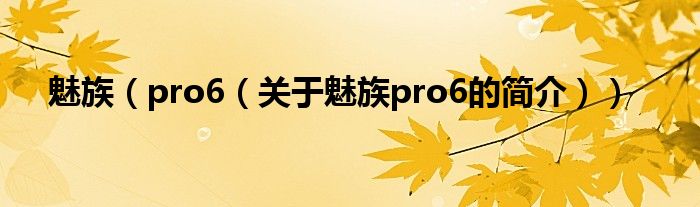 魅族（pro6（關于魅族pro6的簡介））