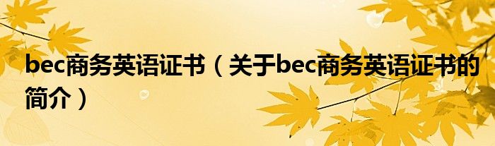 bec商務英語證書（關于bec商務英語證書的簡介）