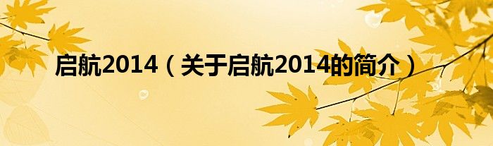 啟航2014（關于啟航2014的簡介）