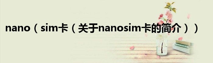 nano（sim卡（關于nanosim卡的簡介））