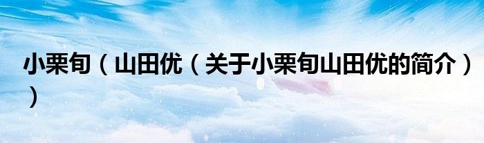 小栗旬（山田優（關于小栗旬山田優的簡介））
