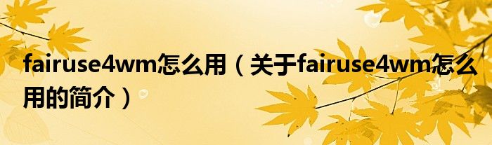 fairuse4wm怎么用（關于fairuse4wm怎么用的簡介）