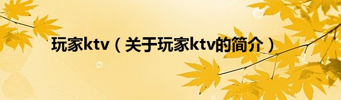 玩家ktv（關于玩家ktv的簡介）