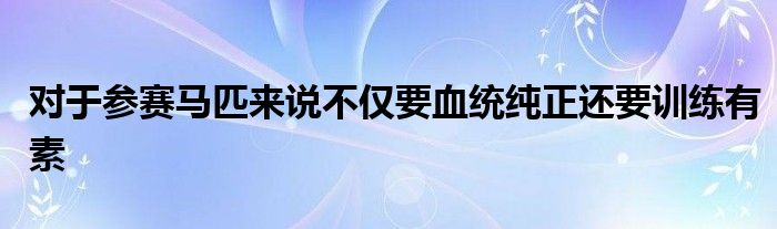 對于參賽馬匹來說不僅要血統純正還要訓練有素