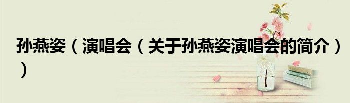 孫燕姿（演唱會（關于孫燕姿演唱會的簡介））