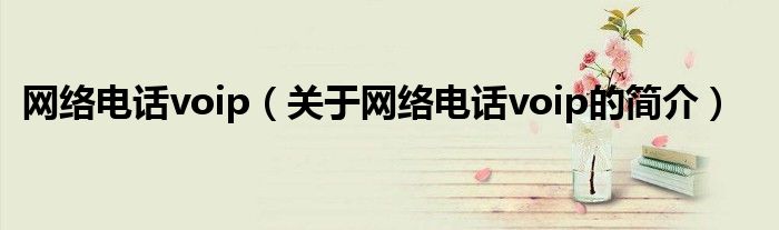 網絡電話voip（關于網絡電話voip的簡介）