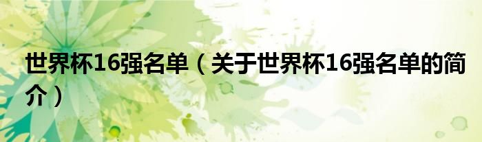 世界杯16強名單（關于世界杯16強名單的簡介）
