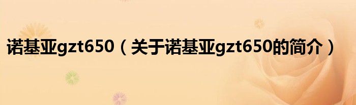 諾基亞gzt650（關于諾基亞gzt650的簡介）