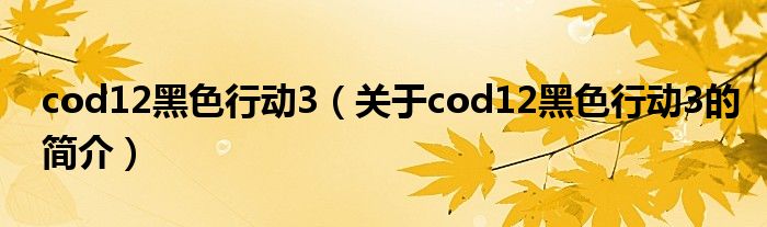 cod12黑色行動3（關于cod12黑色行動3的簡介）