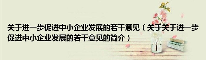 關于進一步促進中小企業發展的若干意見（關于關于進一步促進中小企業發展的若干意見的簡介）