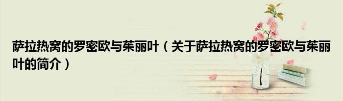 薩拉熱窩的羅密歐與茱麗葉（關于薩拉熱窩的羅密歐與茱麗葉的簡介）