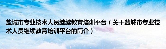 鹽城市專業技術人員繼續教育培訓平臺（關于鹽城市專業技術人員繼續教育培訓平臺的簡介）