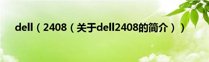 dell（2408（關于dell2408的簡介））