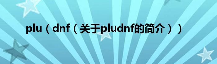 plu（dnf（關于pludnf的簡介））