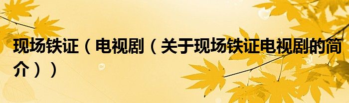 現場鐵證（電視劇（關于現場鐵證電視劇的簡介））