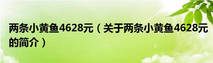 兩條小黃魚4628元（關于兩條小黃魚4628元的簡介）