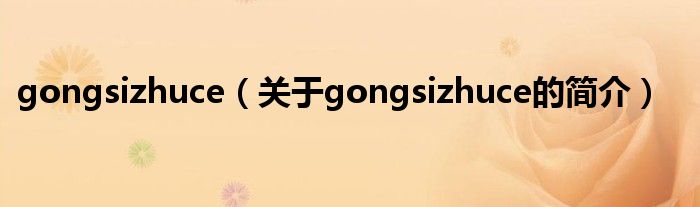 gongsizhuce（關于gongsizhuce的簡介）