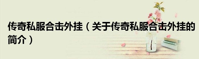 傳奇私服合擊外掛（關于傳奇私服合擊外掛的簡介）