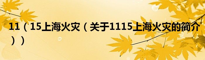 11（15上海火災（關于1115上海火災的簡介））