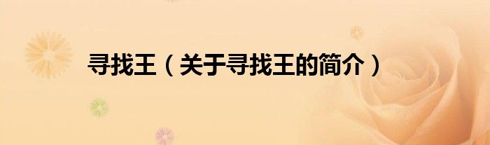 尋找王（關于尋找王的簡介）