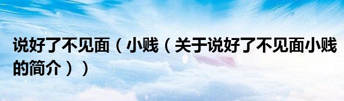 說好了不見面（小賤（關于說好了不見面小賤的簡介））