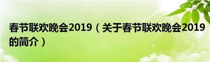 春節聯歡晚會2019（關于春節聯歡晚會2019的簡介）