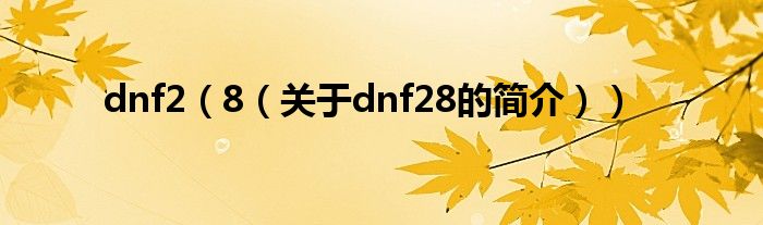 dnf2（8（關于dnf28的簡介））