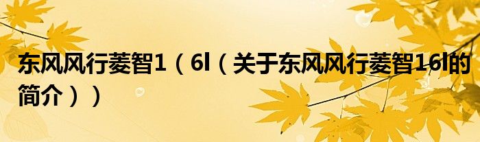 東風(fēng)風(fēng)行菱智1（6l（關(guān)于東風(fēng)風(fēng)行菱智16l的簡(jiǎn)介））